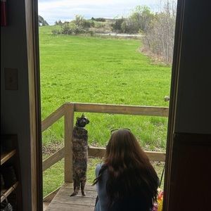 Meet your Posher, Ayden